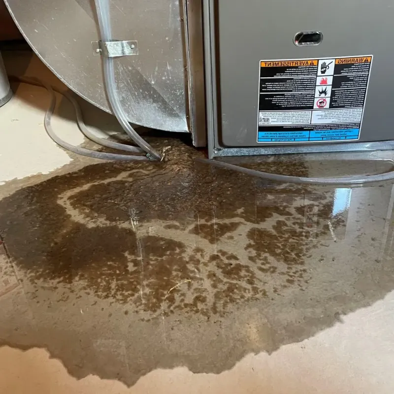 Pipe Burst and Leak Restoration in Blair County, PA