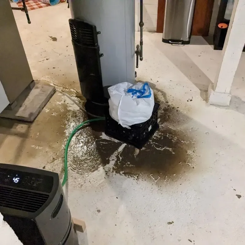 Sewage Backup Cleanup Service in Blair County, PA